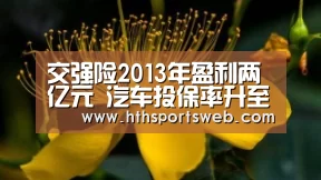 交强险2013年盈利两亿元 汽车投保率升至87%_华体会体育官方在线(图3) 华体会体育官方在线