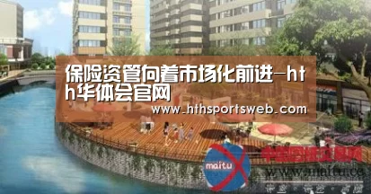 保险资管向着市场化前进-hth华体会官网(图1) 华体会体育官方在线