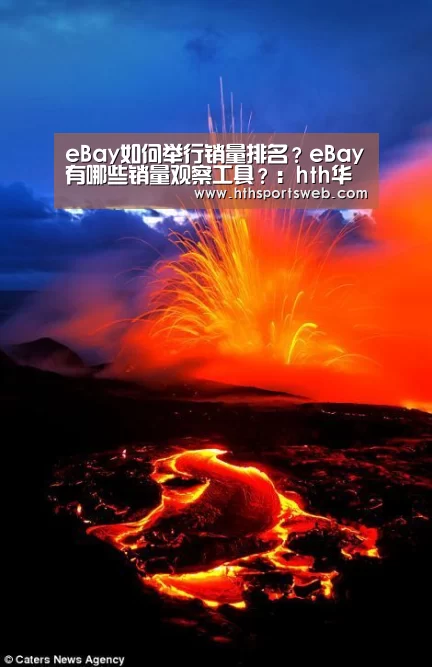 hth华体会官网